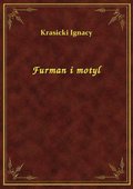 Furman i motyl - ebook