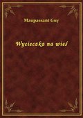 Wycieczka na wieś - ebook