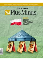 : Plus Minus - e-wydanie – 35/2017