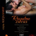 Romans i erotyka: Rozpalone zmysły - audiobook