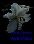 Literatura piękna, beletrystyka: Ave Maria - wzruszająca opowieść - ebook