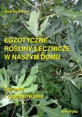 Egzotyczne rośliny lecznicze w naszym domu  - ebook