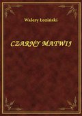Czarny Matwij - ebook