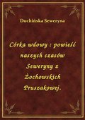 Córka wdowy : powieść naszych czasów Seweryny z Żochowskich Pruszakowej. - ebook