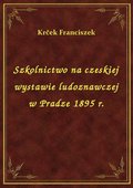 Szkolnictwo na czeskiej wystawie ludoznawczej w Pradze 1895 r. - ebook