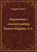 Wspomnienia z ostatnich podróży Teodora Tripplina. T. 3. - ebook