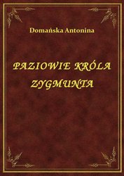 : Paziowie Króla Zygmunta - ebook